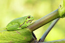 BUITEN BEELD Foto: 443283