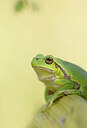 BUITEN BEELD Foto: 443286