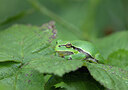 BUITEN BEELD Foto: 443288