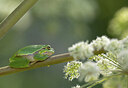 BUITEN BEELD Foto: 443289