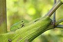 BUITEN BEELD Foto: 443295