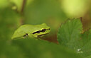BUITEN BEELD Foto: 443301