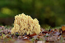 BUITEN BEELD Foto: 443302