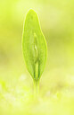 BUITEN BEELD Foto: 443305