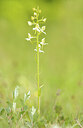 BUITEN BEELD Foto: 443314