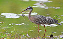 BUITEN BEELD Foto: 443322