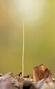 BUITEN BEELD Foto: 443346