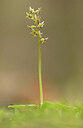 BUITEN BEELD Foto: 443348