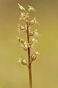 BUITEN BEELD Foto: 443350