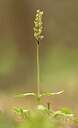 BUITEN BEELD Foto: 443352