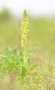 BUITEN BEELD Foto: 443359
