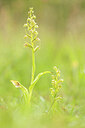 BUITEN BEELD Foto: 443361