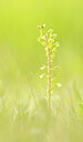 BUITEN BEELD Foto: 443364