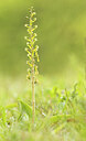 BUITEN BEELD Foto: 443365