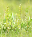 BUITEN BEELD Foto: 443366