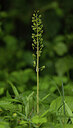 BUITEN BEELD Foto: 443370