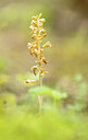 BUITEN BEELD Foto: 443389