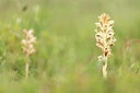BUITEN BEELD Foto: 443394