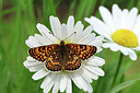 BUITEN BEELD Foto: 443455