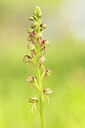 BUITEN BEELD Foto: 443472