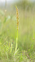 BUITEN BEELD Foto: 443475
