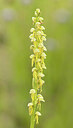 BUITEN BEELD Foto: 443477