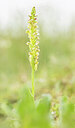 BUITEN BEELD Foto: 443478