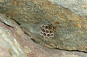 BUITEN BEELD Foto: 443504