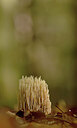 BUITEN BEELD Foto: 443513