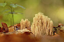 BUITEN BEELD Foto: 443519