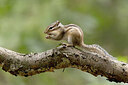 BUITEN BEELD Foto: 443523