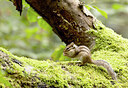 BUITEN BEELD Foto: 443526