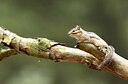 BUITEN BEELD Foto: 443532