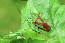 BUITEN BEELD Foto: 443556