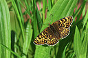 BUITEN BEELD Foto: 443569