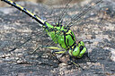 BUITEN BEELD Foto: 443574