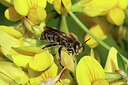 BUITEN BEELD Foto: 443577