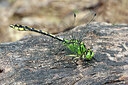 BUITEN BEELD Foto: 443580
