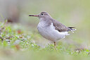 BUITEN BEELD Foto: 443581