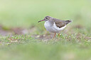 BUITEN BEELD Foto: 443590