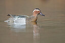 BUITEN BEELD Foto: 443601