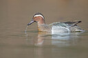 BUITEN BEELD Foto: 443602