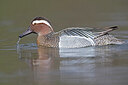 BUITEN BEELD Foto: 443604