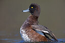 BUITEN BEELD Foto: 443681