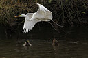 BUITEN BEELD Foto: 443695