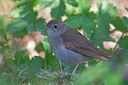 BUITEN BEELD Foto: 443722