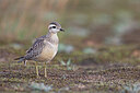 BUITEN BEELD Foto: 443737