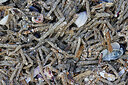 BUITEN BEELD Foto: 443836