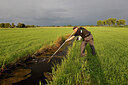 BUITEN BEELD Foto: 443841
