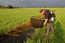 BUITEN BEELD Foto: 443842